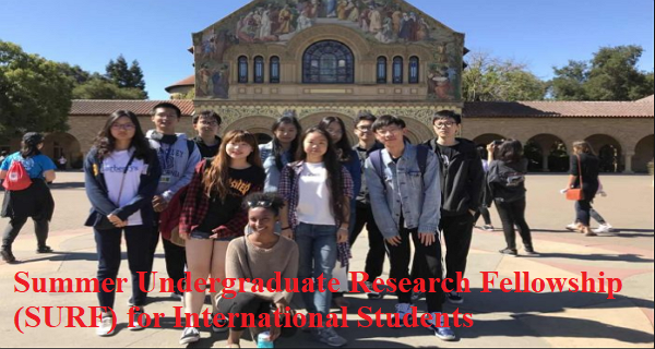 research fellowship for international students