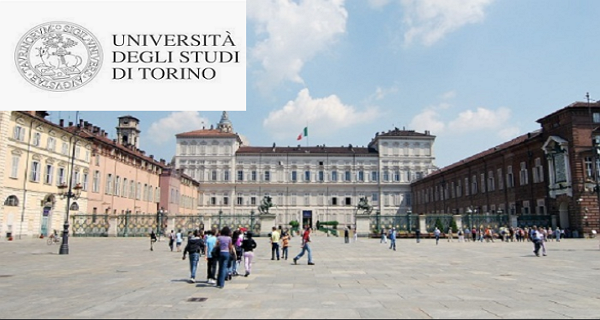 2020 University of Turin Visiting Professors Programme in Italy