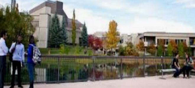 University of Calgary International Entrance Scholarship