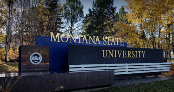 Montana State University (MSU) Presidential Scholarship in USA (Fully funded)
